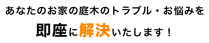 あなたのお家の庭木のトラブル・お悩みを 即座に解決いたします!