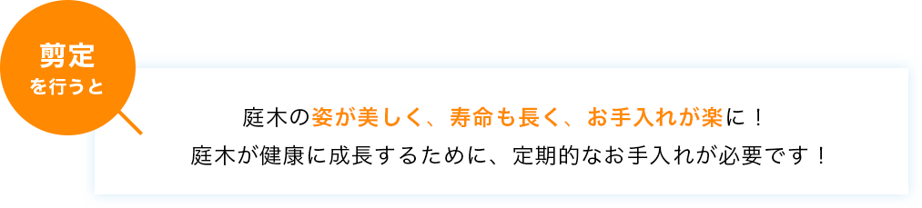 庭木の姿が美しく、寿命も長く、お手入れが楽に!庭木が健康に成長するために、定期的なお手入れが必要です!