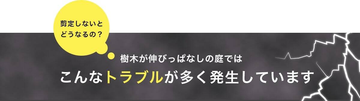 剪定しないとどうなるの?樹木が伸びっぱなしの庭ではこんなトラブルが多く発生しています