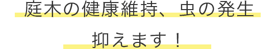 庭木の健康維持、虫の発生 抑えます!