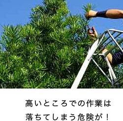 高いところでの作業は 落ちてしまう危険が!