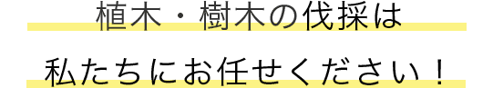 庭木・植木の剪定・刈込は 私たちにお任せください!