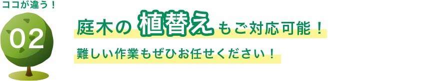 庭木の植替えもご対応可能! 難しい作業もぜひお任せください!