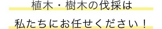 庭木・植木の剪定・刈込は私たちにお任せください!