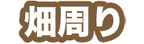 畑周り